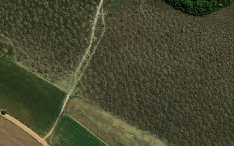 Foto do terreno em Conquista/MG