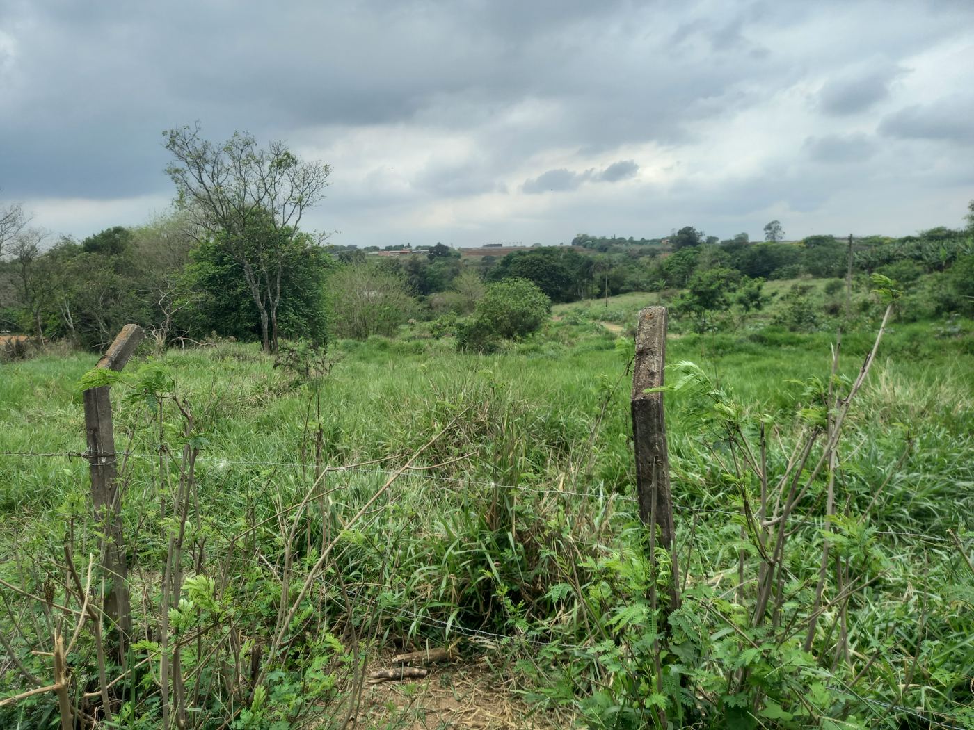 Foto do terreno em Avenida Rebouças, 2452 — Vila Santana — Sumaré/SP